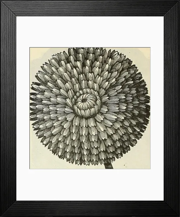 Framed Print : Dreer's wholesale price list Dreer's wholesale price list : tools Framed Print : Dreer's wholesale price list Dreer's wholesale price list : tools