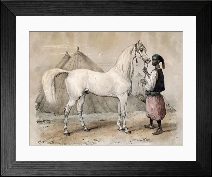 Framed Print : A servant in oriental dress holds a white Arabian horse by the reins Framed Print : A servant in oriental dress holds a white Arabian horse by the reins