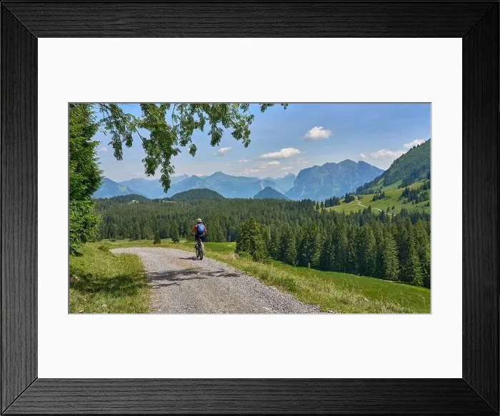 Framed Print : nice, active senior woman underway with her electric mountain bike in the Bregenz Forest near Dornbirn Framed Print : nice, active senior woman underway with her electric mountain bike in the Bregenz Forest near Dornbirn