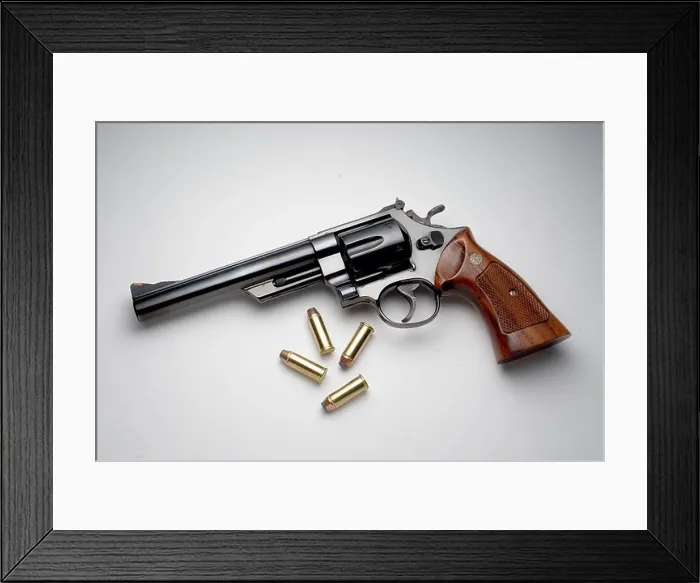 Framed Print : gun Framed Print : gun