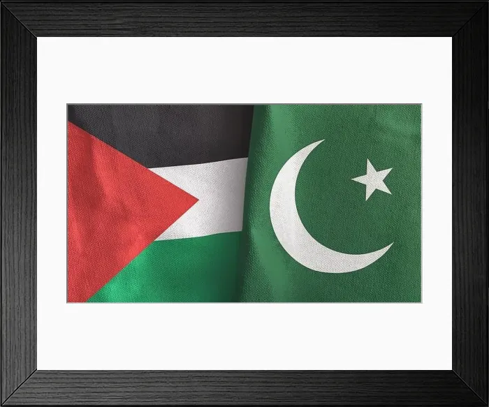 Framed Print : Pakistan and Palestine two flags textile cloth 3D rendering Framed Print : Pakistan and Palestine two flags textile cloth 3D rendering