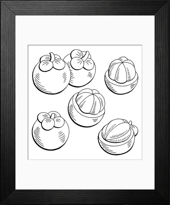 Framed Print : Mangosteen fruit graphic black white isolated sketch illustration vector Framed Print : Mangosteen fruit graphic black white isolated sketch illustration vector