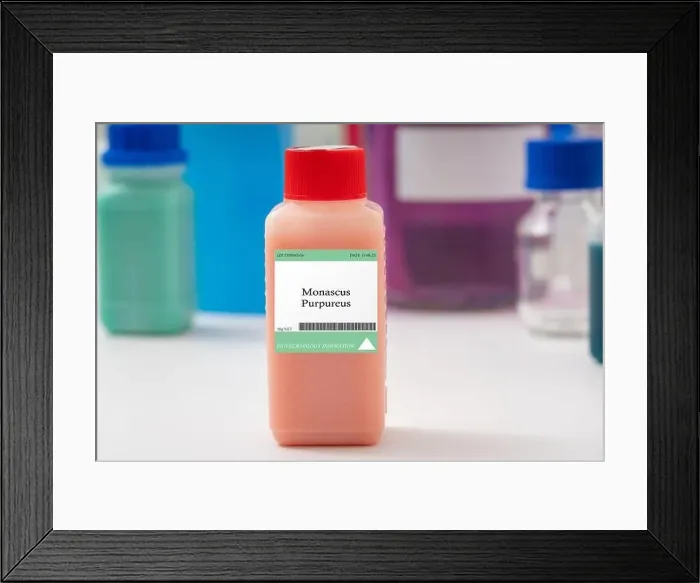 Framed Print : Monascus purpureus fungus Used for the production of red yeast rice Framed Print : Monascus purpureus fungus Used for the production of red yeast rice