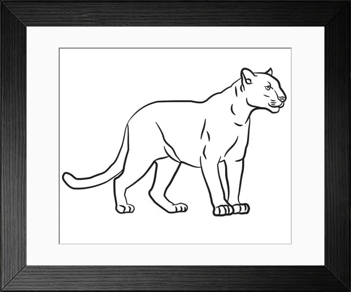 Framed Print : Contour linear drawing illustration of the wild puma Framed Print : Contour linear drawing illustration of the wild puma