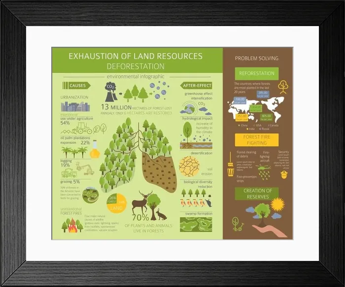 Framed Print : Global environmental problems. Exhaustion of land resources infographic. Deforestation. Vector illustration Framed Print : Global environmental problems. Exhaustion of land resources infographic. Deforestation. Vector illustration
