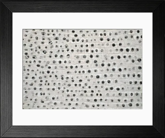 Framed Print : Cel division in an onion root tip, mitosis, meiosis Framed Print : Cel division in an onion root tip, mitosis, meiosis