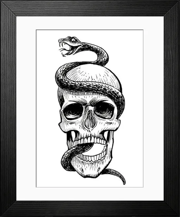 Framed Print : Human skull and poisonous snake. Ink black and white drawing Framed Print : Human skull and poisonous snake. Ink black and white drawing