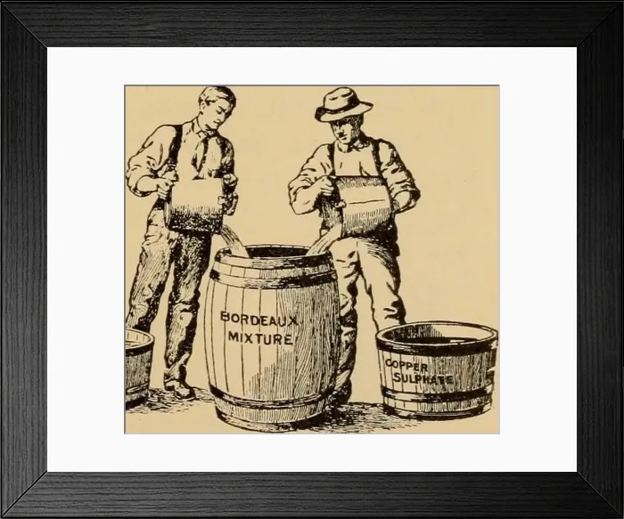 Framed Print : Elementary principles of agriculture; a text book for the common schools Framed Print : Elementary principles of agriculture; a text book for the common schools
