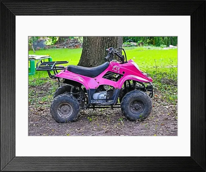 Framed Print : girls custom pink four wheeler Framed Print : girls custom pink four wheeler