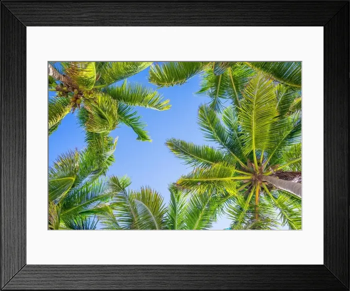 Framed Print : Blue sky and palm trees view from below