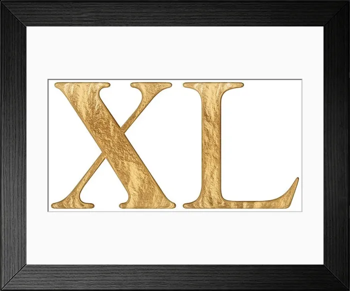Framed Print : Roman numeral XL, quadraginta, 40, forty, isolated on white background, 3d render Framed Print : Roman numeral XL, quadraginta, 40, forty, isolated on white background, 3d render