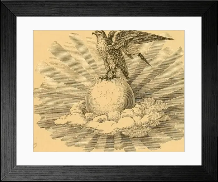 Framed Print : Beiträge zur Ornithologie Afrika's Framed Print : Beiträge zur Ornithologie Afrika's