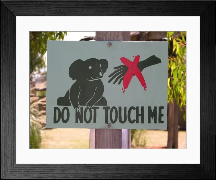 Framed Print : Sign Do not touch me showing a Koala bear in Victoria, Australia Framed Print : Sign Do not touch me showing a Koala bear in Victoria, Australia