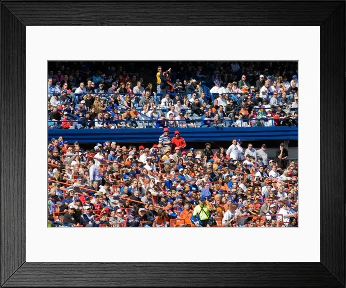Framed Print : Crowd at Yankee Stadium, home of the New York Yankees baseball team Framed Print : Crowd at Yankee Stadium, home of the New York Yankees baseball team