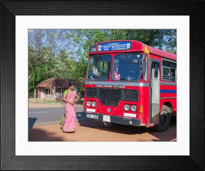 Framed Print : Sri Lankan female walks in front of red single decker bus before it departs Mullaitivu for Trincomalee, Sri Lanka Framed Print : Sri Lankan female walks in front of red single decker bus before it departs Mullaitivu for Trincomalee, Sri Lanka