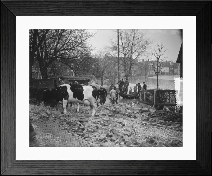 Framed Print : s-Gravendeel. Zuidervoorstraat, Bestanddeelnr 905-5198 Framed Print : s-Gravendeel. Zuidervoorstraat, Bestanddeelnr 905-5198