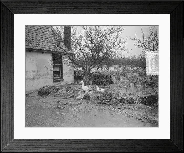 Framed Print : Pictures froms Gravendeel Date: February 23, 1953 Location: s-Gravendeel, South Holland Framed Print : Pictures froms Gravendeel Date: February 23, 1953 Location: s-Gravendeel, South Holland
