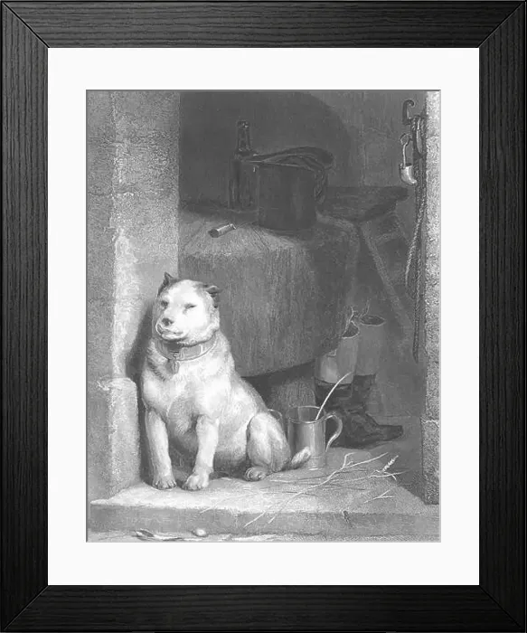 Framed Print : DOGS: Low life-Landseer, antique print c1880 Framed Print : DOGS: Low life-Landseer, antique print c1880