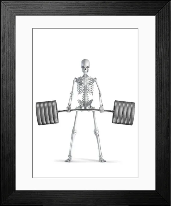Framed Print : Fitness skeleton deadlift - 3D illustration of male human skeleton figure lifting heavy barbell isolated on white Framed Print : Fitness skeleton deadlift - 3D illustration of male human skeleton figure lifting heavy barbell isolated on white