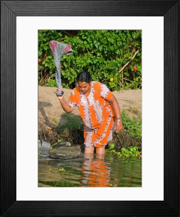 Framed Print : Vertical portrait of an Indian woman doing the laundry by the riverside in Kerala Framed Print : Vertical portrait of an Indian woman doing the laundry by the riverside in Kerala