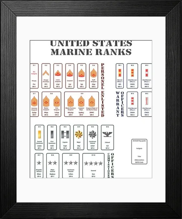 Framed Print : set of the ranks of the united states marine Framed Print : set of the ranks of the united states marine
