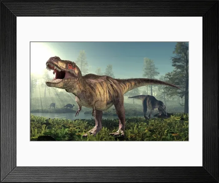 Framed Print : Tyrannosaurus rex dinosaur Framed Print : Tyrannosaurus rex dinosaur