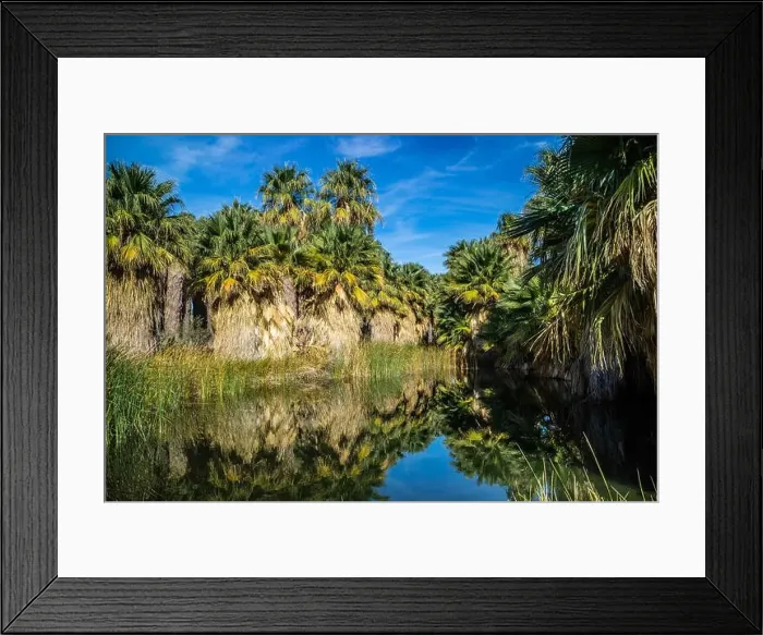 Framed Print : Simone Pond at McCallum Grove in Palm Spring, California Framed Print : Simone Pond at McCallum Grove in Palm Spring, California