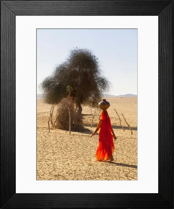 Framed Print : India, Rajasthan, Thar Desert, Indian woman carrying traditional water pot Framed Print : India, Rajasthan, Thar Desert, Indian woman carrying traditional water pot