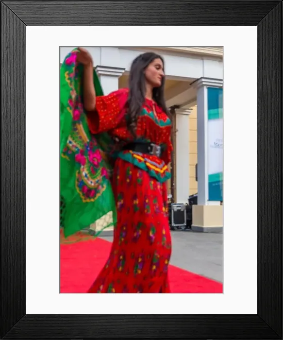 Framed Print : Bohemian Gypsy Life at Sibiu Internațional Poetry Roma Festival Framed Print : Bohemian Gypsy Life at Sibiu Internațional Poetry Roma Festival