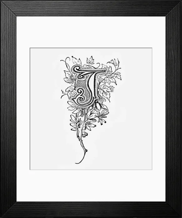 Framed Print : An ornately decorated letter used as an initial or drop cap at the beginning of a word Framed Print : An ornately decorated letter used as an initial or drop cap at the beginning of a word
