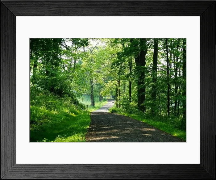 Framed Print : A shady path in the Rockefeller State Park Preserve, Westchester, New York, USA Framed Print : A shady path in the Rockefeller State Park Preserve, Westchester, New York, USA