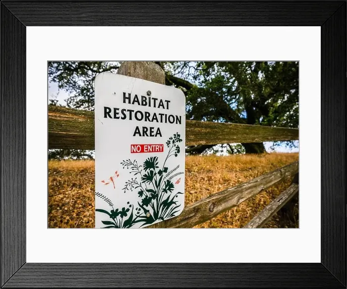 Framed Print : Habitat restoration area sign in Shiloh Ranch Regional Park Framed Print : Habitat restoration area sign in Shiloh Ranch Regional Park