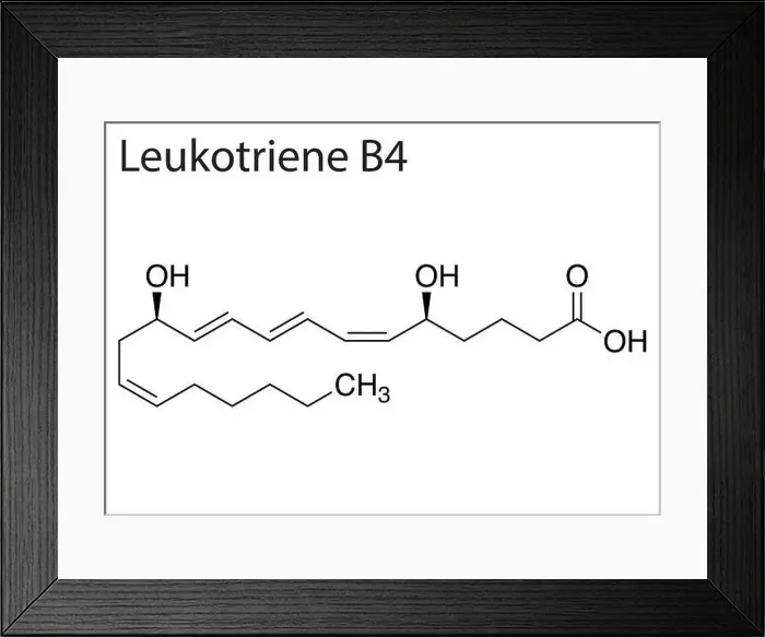 Framed Print : A Chemical formula structure of Leukotriene B4 on white background Framed Print : A Chemical formula structure of Leukotriene B4 on white background