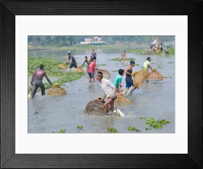 Framed Print : Polo Bawa Utshob, a 200 year old festival Framed Print : Polo Bawa Utshob, a 200 year old festival