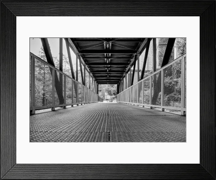 Framed Print : Access Bridge Framed Print : Access Bridge