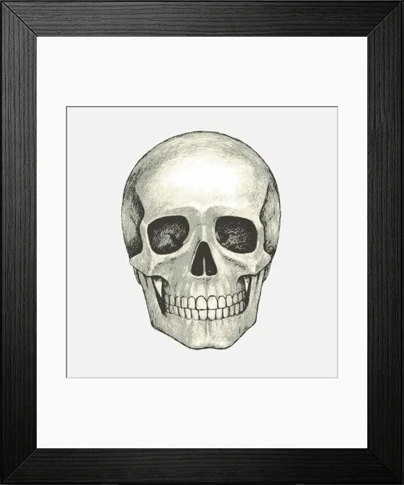Framed Print : Hand drawn isolated human skull. Pencil drawing. Vector illustration Framed Print : Hand drawn isolated human skull. Pencil drawing. Vector illustration