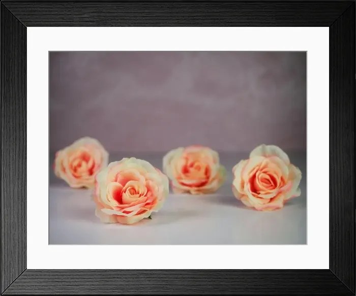 Framed Print : 4 peach rose flower blooms sitting on a shiny white surface with a rose marble background