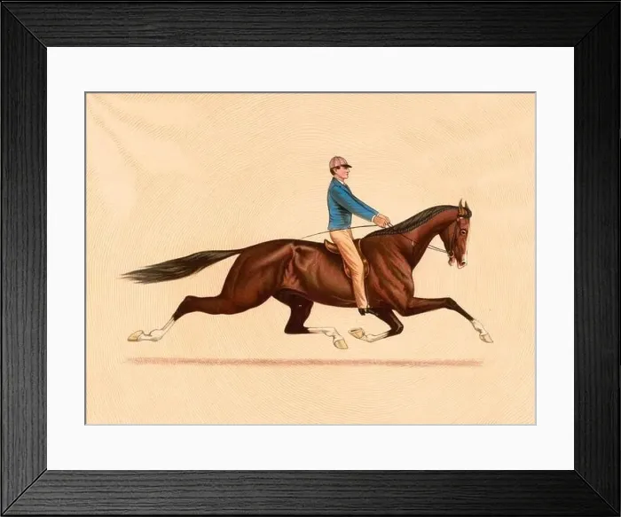 Framed Print : Dexter, The Trotting King ridden by John Murphy 1889 Framed Print : Dexter, The Trotting King ridden by John Murphy 1889