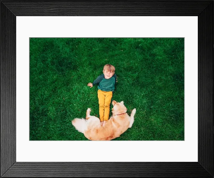 Framed Print : Overhead view of a boy lying on grass playing with his golden retriever dog Framed Print : Overhead view of a boy lying on grass playing with his golden retriever dog
