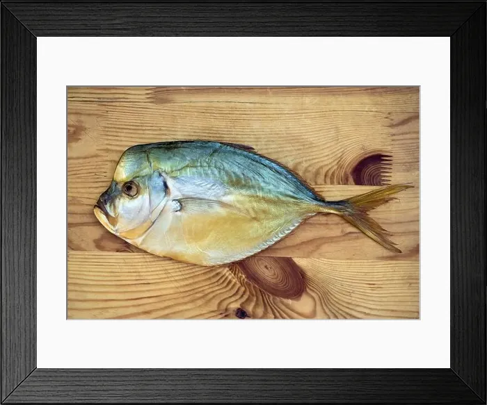 Framed Print : Tasty smoked vomer selene sea fish on wooden background. Smoked fish is a wonderful gourmet meal Framed Print : Tasty smoked vomer selene sea fish on wooden background. Smoked fish is a wonderful gourmet meal