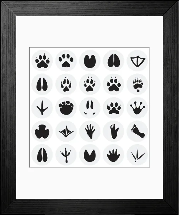 Framed Print : Animal foot prints icons set on circles background for graphic and web design Framed Print : Animal foot prints icons set on circles background for graphic and web design