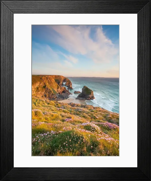 Framed Print : During spring wild flowers, such as Sea Thrift carpet the cliffs at Bedruthan Steps (Carnewas) Framed Print : During spring wild flowers, such as Sea Thrift carpet the cliffs at Bedruthan Steps (Carnewas)