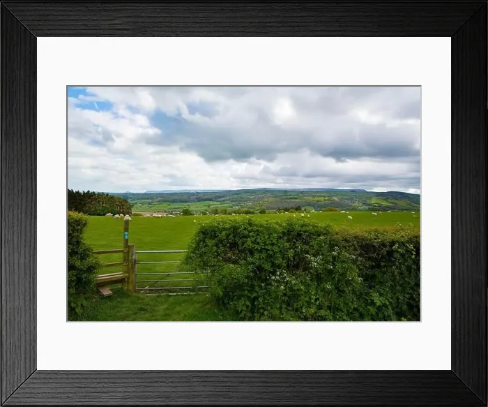 Framed Print : Looking across the Golden Valley to the Black Mountains Framed Print : Looking across the Golden Valley to the Black Mountains