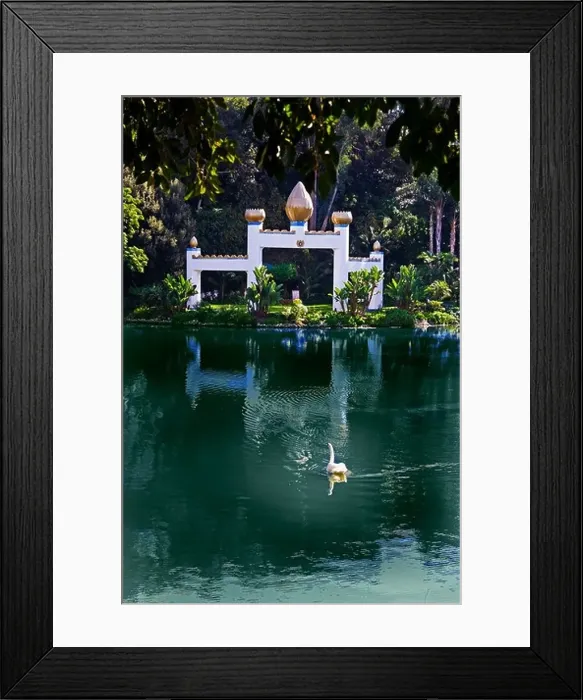 Framed Print : The Lake Shrine at Parmahansa Yogananda's Self Realization Fellowship in Pacific Palisades, California Framed Print : The Lake Shrine at Parmahansa Yogananda's Self Realization Fellowship in Pacific Palisades, California