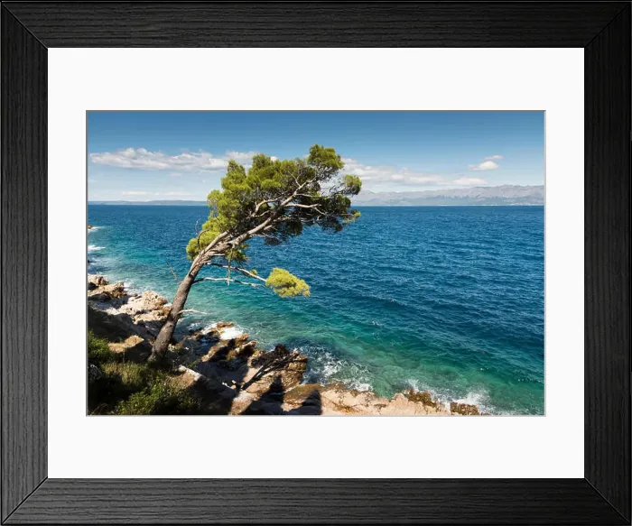 Framed Print : A view of the blue Adriatic sea at Trpanj Croatia with pine trees in the foreground, in summer sunshine Framed Print : A view of the blue Adriatic sea at Trpanj Croatia with pine trees in the foreground, in summer sunshine