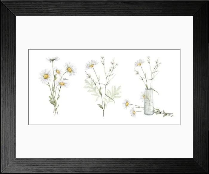 Framed Print : Watercolor set of bouquets with flowers daisy Framed Print : Watercolor set of bouquets with flowers daisy