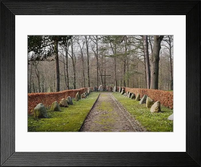 Framed Print : St. John's Church in Oldenburg in Holstein Framed Print : St. John's Church in Oldenburg in Holstein