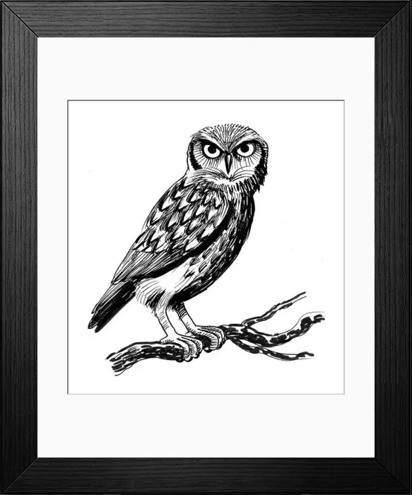Framed Print : Owl bird on a tree. Ink black and white illustration Framed Print : Owl bird on a tree. Ink black and white illustration
