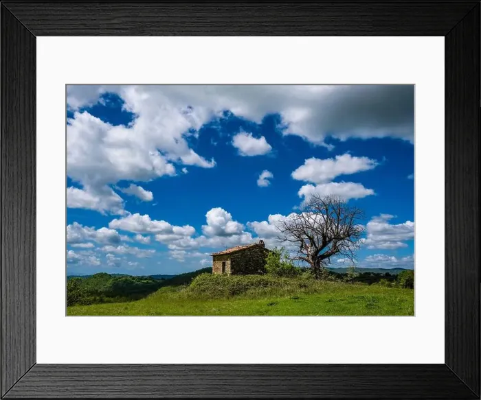 Framed Print : Lonely farmers house with a solitude dead tree on top of a hill, wooded landscape in the distance Framed Print : Lonely farmers house with a solitude dead tree on top of a hill, wooded landscape in the distance
