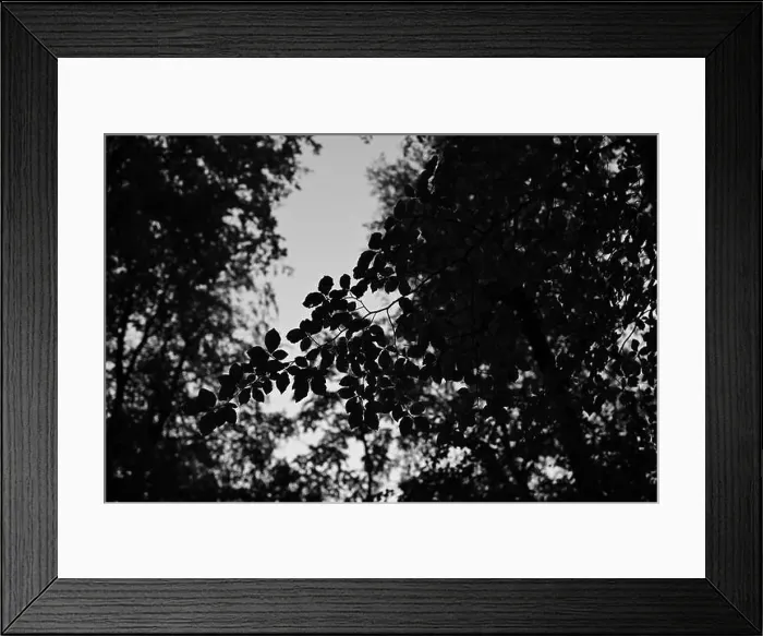 Framed Print : Förslöv, Skåne, Sweden. Oktober 9 2024. Hålehall hiking area Framed Print : Förslöv, Skåne, Sweden. Oktober 9 2024. Hålehall hiking area